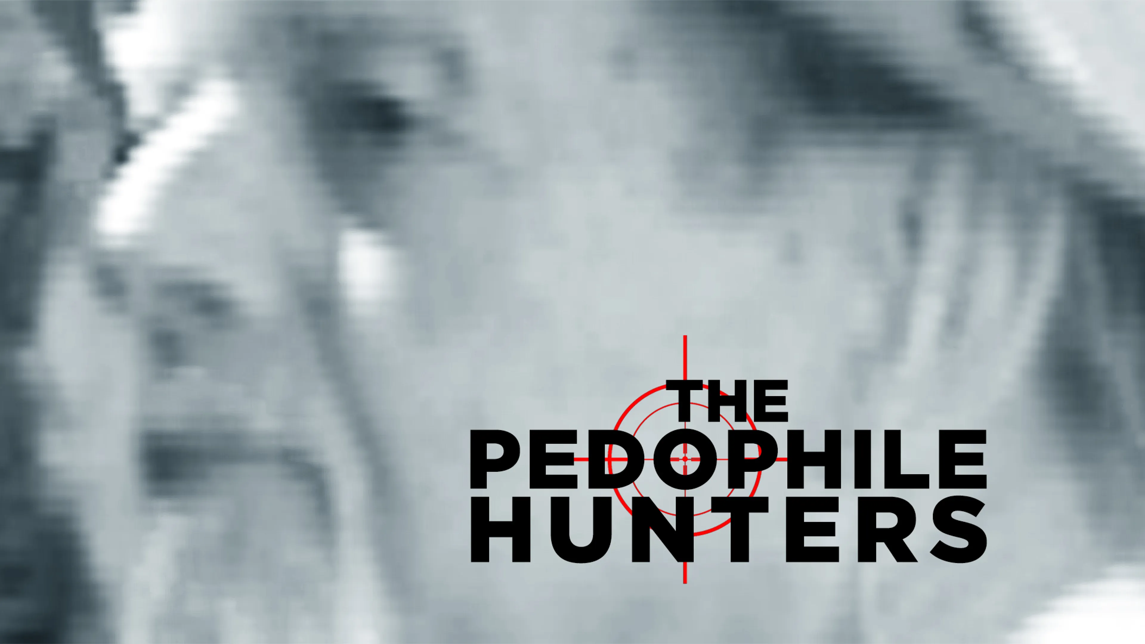 The Pedophile Hunters poster